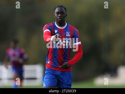 GOAL 1-1, Hindolo Mustapha of Crystal Palace U18 goal celebration. - Crystal Palace U18 v Fulham U18, U18 Premier League South, Crystal Palace Academy, London. - 29th October 2022. Editorial Use Only - DataCo Restrictions Apply. Stock Photo