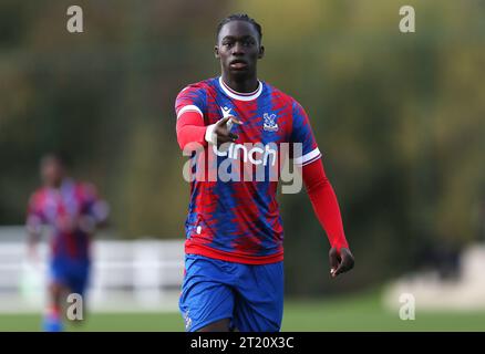 GOAL 1-1, Hindolo Mustapha of Crystal Palace U18 goal celebration. - Crystal Palace U18 v Fulham U18, U18 Premier League South, Crystal Palace Academy, London. - 29th October 2022. Editorial Use Only - DataCo Restrictions Apply. Stock Photo