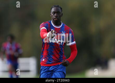 GOAL 1-1, Hindolo Mustapha of Crystal Palace U18 goal celebration. - Crystal Palace U18 v Fulham U18, U18 Premier League South, Crystal Palace Academy, London. - 29th October 2022. Editorial Use Only - DataCo Restrictions Apply. Stock Photo