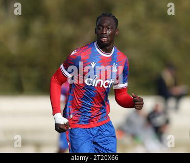 Hindolo Mustapha of Crystal Palace U18. - Crystal Palace U18 v Fulham U18, U18 Premier League South, Crystal Palace Academy, London. - 29th October 2022. Editorial Use Only - DataCo Restrictions Apply. Stock Photo