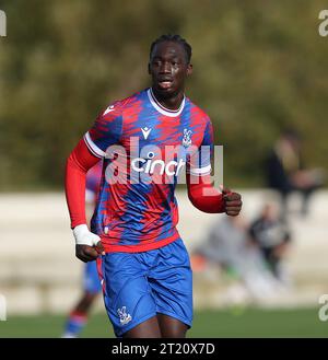 Hindolo Mustapha of Crystal Palace U18. - Crystal Palace U18 v Fulham U18, U18 Premier League South, Crystal Palace Academy, London. - 29th October 2022. Editorial Use Only - DataCo Restrictions Apply. Stock Photo