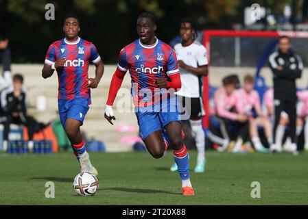 Hindolo Mustapha of Crystal Palace U18. - Crystal Palace U18 v Fulham U18, U18 Premier League South, Crystal Palace Academy, London. - 29th October 2022. Editorial Use Only - DataCo Restrictions Apply. Stock Photo