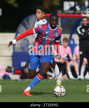 Hindolo Mustapha of Crystal Palace U18. - Crystal Palace U18 v Fulham U18, U18 Premier League South, Crystal Palace Academy, London. - 29th October 2022. Editorial Use Only - DataCo Restrictions Apply. Stock Photo