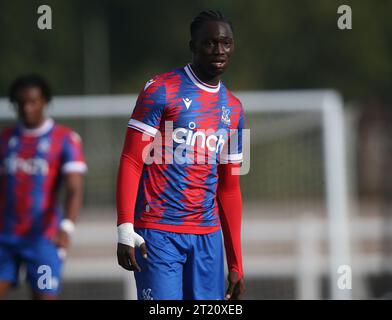 Hindolo Mustapha of Crystal Palace U18. - Crystal Palace U18 v Fulham U18, U18 Premier League South, Crystal Palace Academy, London. - 29th October 2022. Editorial Use Only - DataCo Restrictions Apply. Stock Photo