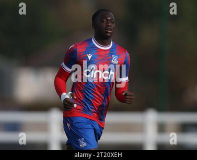 Hindolo Mustapha of Crystal Palace U18. - Crystal Palace U18 v Fulham U18, U18 Premier League South, Crystal Palace Academy, London. - 29th October 2022. Editorial Use Only - DataCo Restrictions Apply. Stock Photo