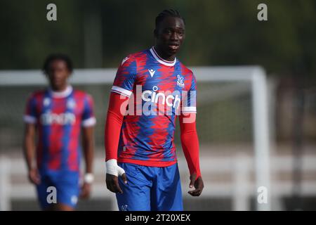 Hindolo Mustapha of Crystal Palace U18. - Crystal Palace U18 v Fulham U18, U18 Premier League South, Crystal Palace Academy, London. - 29th October 2022. Editorial Use Only - DataCo Restrictions Apply. Stock Photo