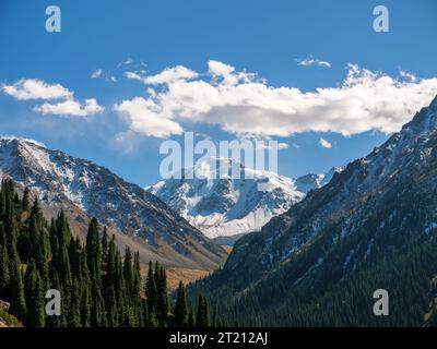 Mountain landscape. A snow-capped peak rises against the background of slopes covered with coniferous forest. Good weather high in the mountains. Stock Photo