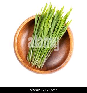 Fresh wheatgrass in wooden bowl. Sprouted first leaves of common wheat Triticum aestivum, used as food, drink, or dietary supplement. Stock Photo