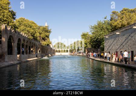 Sanliurfa, Turkey - July 15 2023: The lake and the fish in it, located in the city center of Şanlıurfa, where it is believed that the Prophet Abraham Stock Photo
