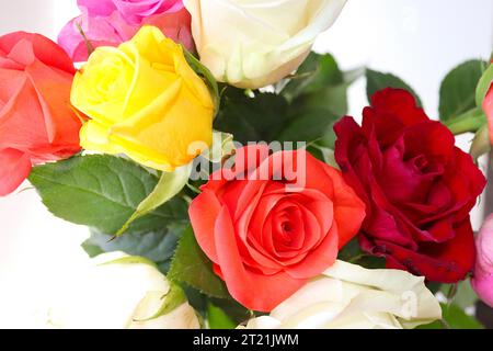 A landscape view of a bouquet of multi-coloured roses shot on a white background, unretouched image, August 2022. Stock Photo