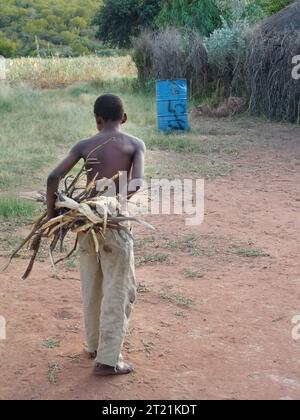 village african child carry wood for cooking at his house with thatched roof in the rural area. Stock Photo