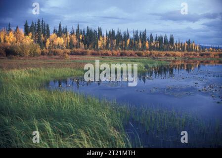 Subjects: Scenics; Landscapes; Lakes; Kanuti National Wildlife Refuge; Alaska. Stock Photo
