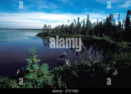 Subjects: Scenics; Landscapes; Lakes; Innoko National Wildlife Refuge; Alaska.  . 1998 - 2011. Stock Photo