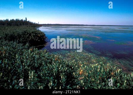 Subjects: Scenics; Landscapes; Lakes; Innoko National Wildlife Refuge; Alaska.  . 1998 - 2011. Stock Photo