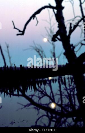 Subjects: Scenics; Landscapes; Moonscape; Lakes; Selawik National Wildlife Refuge; Alaska.  . 1998 - 2011. Stock Photo