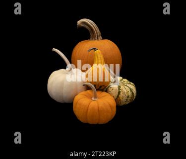 mini and medium pumpkins and gourd on a black background Stock Photo