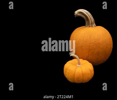 little and medium pumpkin on black background Stock Photo