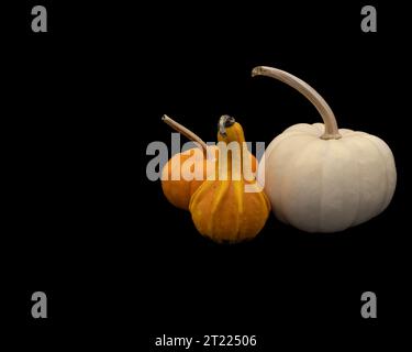 two small pumpkins and gourd on black background Stock Photo