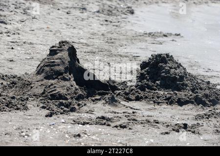 Black healing magnetic sand in the village of Ureki, Georgia. Stock Photo