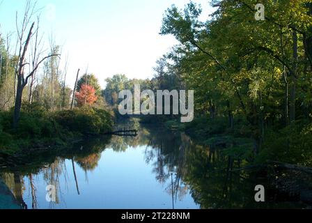 Oak Orchard Creek at Iroquois National Wildlife Refuge, NY. Subjects: Rivers and streams; Wildlife refuges; Trees; Vegetation. Location: New York. Fish and Wildlife Service Site: IROQUOIS NATIONAL WILDLIFE REFUGE.  . 1998 - 2011. Stock Photo