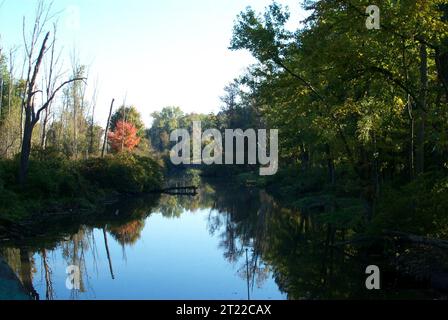 Oak Orchard Creek at Iroquois National Wildlife Refuge, NY. Subjects: Wildlife refuges. Location: New York. Fish and Wildlife Service Site: IROQUOIS NATIONAL WILDLIFE REFUGE.  . 1998 - 2011. Stock Photo