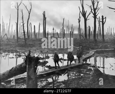 The Third Battle of Ypres (The Battle of Passchendaele). Soldiers of an Australian 4th Division field artillery brigade on a duckboard track passing through Chateau Wood, near Hooge in the Ypres salient, 29 October 1917. Photo by Frank Hurley. Stock Photo