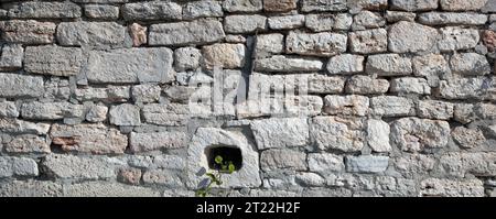 Acient brick wall. Grunge brick wall background. Background of old vintage brick wall. High quality photo Stock Photo