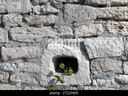 Acient brick wall. Grunge brick wall background. Background of old vintage brick wall. High quality photo Stock Photo