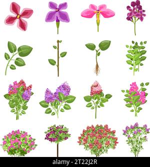Lilac icons set cartoon vector. Blossom plant Stock Vector