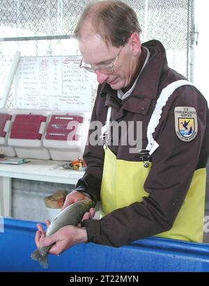 Lahontan cutthroat trout. Fisheries biologist Corene Luton measures a ...