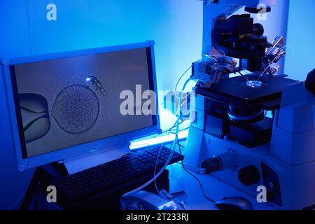 Closeup of ICSI procedure in lab setting displayed on computer monitor Stock Photo