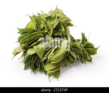Pile of aromatic bay leaves on white background Stock Photo