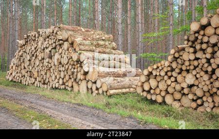 Stacked logs in a forest, deforestation concept, selective focus. Stock Photo