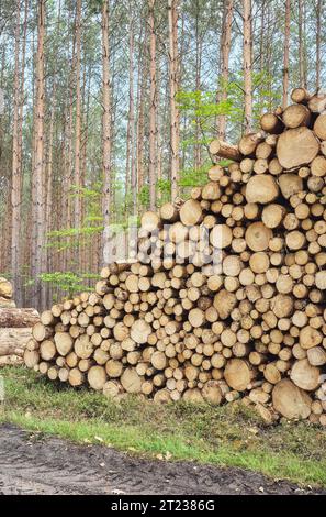 Stacked logs in a forest, deforestation concept, selective focus. Stock Photo