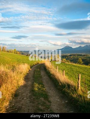Dirt farm road in Ząb, a village near Zakopane, Poland Stock Photo