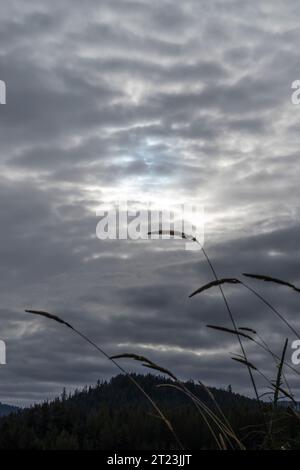 The annular eclipse on October 14th 2023 in Central Oregon, as seen from Newberry Crater National Monument, USA Stock Photo