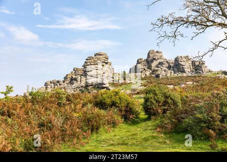 Hound Tor Dartmoor inspiration for Arthur Conan Doyle to write Hound of the Baskervilles,Devon,England,UK,2023 Stock Photo