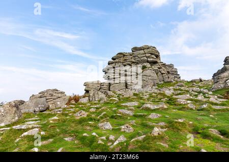 Hound Tor Dartmoor inspiration for Arthur Conan Doyle to write Hound of the Baskervilles,Devon,England,UK,2023 Stock Photo