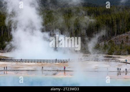 Toursist walk between pools as steam rises from colorful blue pool of grand prismatic springs Stock Photo