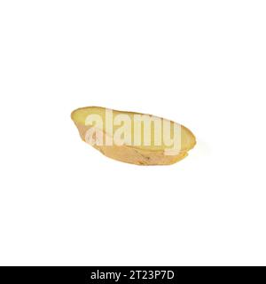 Fresh ginger rhizome with sliced isolated on white background.  Stock Photo
