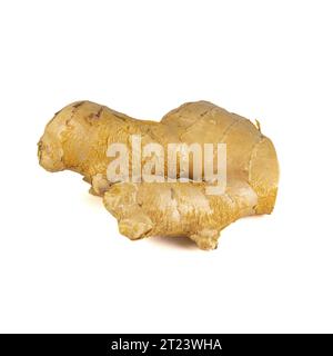 Fresh ginger rhizome with sliced isolated on white background.  Stock Photo