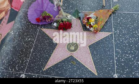 Los Angeles, California, USA 16th October 2023 Actress Suzanne Somers Hollywood Walk of Fame Star with Flowers placed on it today on October 16, 2023 in Los Angeles, California, USA. Suzanne Somers died yesterday at her home in Palm Springs. Photo by Barry King/Alamy Live News Stock Photo