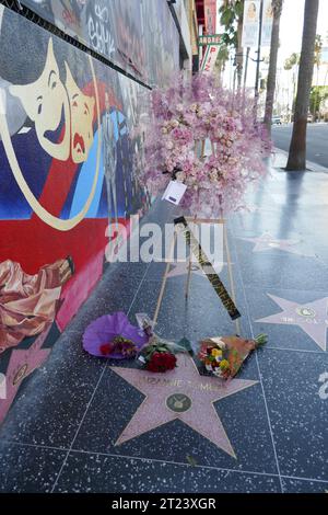 Los Angeles, California, USA 16th October 2023 Actress Suzanne Somers Hollywood Walk of Fame Star with Flowers placed on it today on October 16, 2023 in Los Angeles, California, USA. Suzanne Somers died yesterday at her home in Palm Springs. Photo by Barry King/Alamy Live News Stock Photo