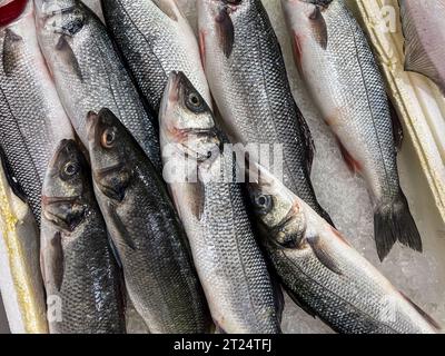 Top view of raw bonito fish on ice on display at seafood fish market Stock Photo