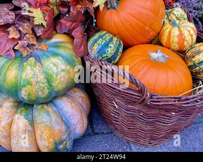 Orange and green pumpkins in a basket Stock Photo
