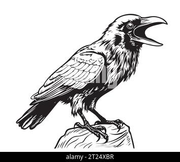 Angry raven head sketch hand drawn Vector Wild birds Stock Vector