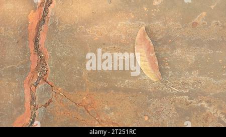 Background of damaged cement floor filled with dirt, cracks along with dry leaves. Stock Photo