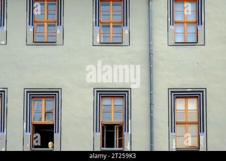 The bust of Johann Wolfgang von Goethe in the lower left frame in rows of windows of the Red Palace in Weimar, Thuringia, Germany. Stock Photo