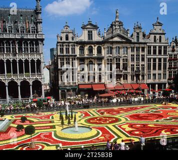Belgium. Brussels. The Grand Place Flower Carpet. Stock Photo