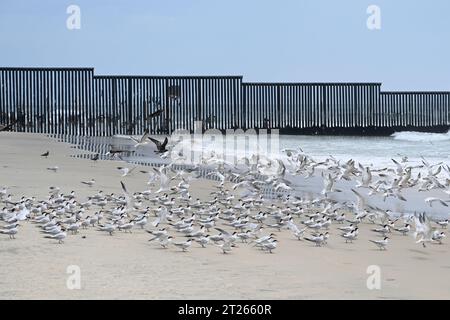A fence on the United States - Mexico border where it meets the Pacific Ocean in Border Field State Park Beach Stock Photo